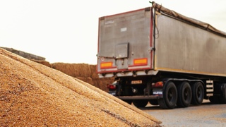 Зернові Вантажоперевезення фото
